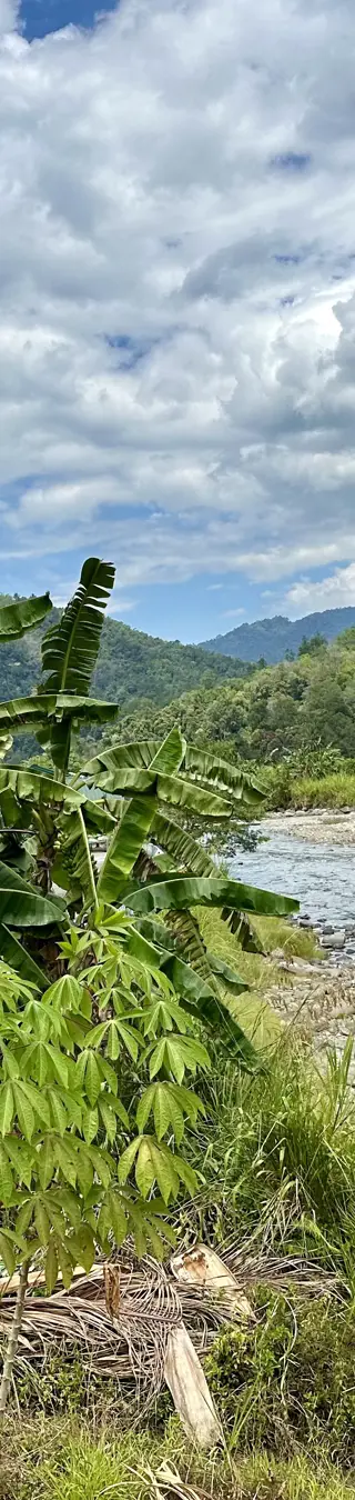 Spaziergang durch die wunderschöne Natur.